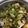 中西呱 的 雪菜炒豆干 cooksnap