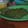 El cooksnap de Kai cuando hizo Panqueque de espinaca con verduras salteadas (sin tacc).