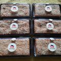 Cooksnap dari ivo vid untuk resep Bolu Tape Tepung Ketan