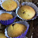 El cooksnap de amaliaf cuando hizo Cupcakes de vainilla decorados.