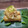 Cooksnap dari Dewi Dapur untuk resep Sosis solo