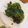 打均 的 皮蛋地瓜葉 cooksnap