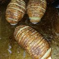 mello.n.az's cooksnap of when they made Hasselback / Baked Potato.