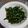 廖文瑄 的 《好菜網》蒜香a菜 cooksnap