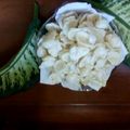 Cooksnap dari titin hartini untuk resep Kerupuk nasi sisa tanpa bleng no penyedap (renyah banget)