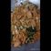Cooksnap dari Rumiyanti untuk resep Mie Goreng Jawa Bumbu Iris
