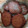 El cooksnap de Anye Fernández cuando hizo Galletas de avena y naranja.