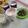 Cooksnap dari Nurul_Fajri untuk resep 197. Susu Kurma