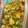 Seun Tuyo's cooksnap of when they made Gizdodo.