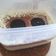Cooksnap dari Vinda untuk resep Oreo / Marie desert cup