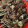 Cooksnap dari Erzu Wijaya untuk resep Sate Kambing empuk tasty & juicy