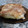 El cooksnap de Sella Gonzalez cuando hizo Torta seca de manzanas "abuela pura".