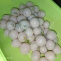 Cooksnap dari faa black untuk resep Cilok empuk, kenyal, dan tidak alot setelah dingin