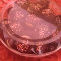 Cooksnap dari Rasya Kosmetik untuk resep 23. Nastar Renyah Enak (Isi Coklat)