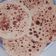 Sarmistha das का कुकस्नैप जब उन्होंने अजवाइन पराठा(ajwain paratha recipe in hindi) बनाया था।