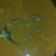 El cooksnap de Yesenia Navarrete cuando hizo Bistec de res con nopales en salsa combinada.