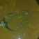 El cooksnap de Yesenia Navarrete cuando hizo Bistec de res con nopales en salsa combinada.