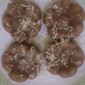 Cooksnap dari septar untuk resep Bolu Coklat Kukus Sederhana