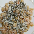 El cooksnap de Zaira cuando hizo Gambas y gulas al ajillo.
