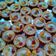 Cooksnap dari Sri Sudaryani untuk resep Pie buah minion🍴