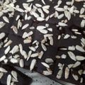 Cooksnap dari Verra Micha untuk resep Brownies Ubi Gluten Free