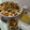 Cooksnap de Patricia Alexandra quando cozinhou Salada de Frango com Abacate e Feta.