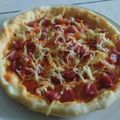 Cooksnap dari wulandari untuk resep Pizza Teflon