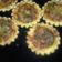 Cooksnap dari Euis Rodiahwati untuk resep Quiche Lorraine ala Cafe