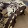 Cooksnap dari Fepy Pawiloi untuk resep Flourless chocolate cake #Keto (Brownies Keto)