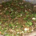El cooksnap de Endulzando Momentos cuando hizo Chimichurri casero.