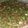 El cooksnap de Endulzando Momentos cuando hizo Chimichurri casero.