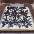 Cooksnap dari mila hayati untuk resep Cream cheese marble brownies