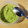 El cooksnap de Nuria_Es cuando hizo Hummus de Guisantes.