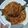 Cooksnap dari ND Wulandari untuk resep Bawal Saus Padang