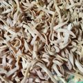 Cooksnap dari Yunita Puloo untuk resep Stick buah naga