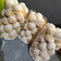 Cooksnap dari Farah Ain untuk resep Putri Salju Keju Lumer