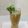 Vimmi Bhatia's cooksnap of when they made Aam panna (Refreshing drink).