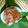 Cooksnap dari Ma2 Khansa A.N untuk resep Bubur Gaplek