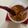 Rajashri Deodhar's cooksnap of when they made पूड चटणी (गन पावडर) साऊथ स्पेशल (pud chutney recipe in marathi).