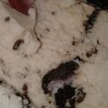 Cooksnap dari Ari Yulianto untuk resep Ice Cream