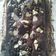 Cooksnap dari Tari untuk resep Double (Triple) Chocolate Brownie ala Martha Stewart