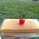 Cooksnap dari Yuni Astuti untuk resep Cheddar cheese cake (ekonomis & lebih enak dr ogura!)