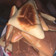 Aisha ameera's cooksnap of when they made Cake in a toaster.