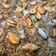 El cooksnap de Eduardo Agudo Alba cuando hizo Arroz con marisco al pisto.