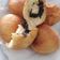 Cooksnap dari Architeni untuk resep Donat kentang menul ekonomis