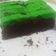 Cooksnap dari Febe Ribka Rambi untuk resep Brownies Pandan Kukus (ala Aman*a) #PR_BrowniesDCC