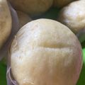 Cooksnap dari Dapurmamayori🌻 untuk resep Bakpao Pandan Coklat