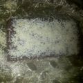 Cooksnap dari Yessi Farhani untuk resep Brownies kukus simple