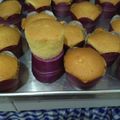 Cooksnap dari Mamspudding untuk resep Crazy Cupcakes NCC