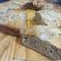 El cooksnap de marsolcorrea cuando hizo TORTA DE PERAS (Fácil y rápido).